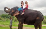 Elephant-Activities-in-Jaipur